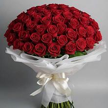 Букет 101 Красная роза Блэк Мэджик в Белой Холунице