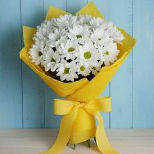 Букет цветов из:  Хризантемы в Белой Холунице