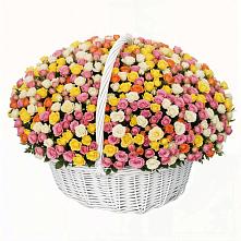 Премиум букет из: Розы в Белой Холунице