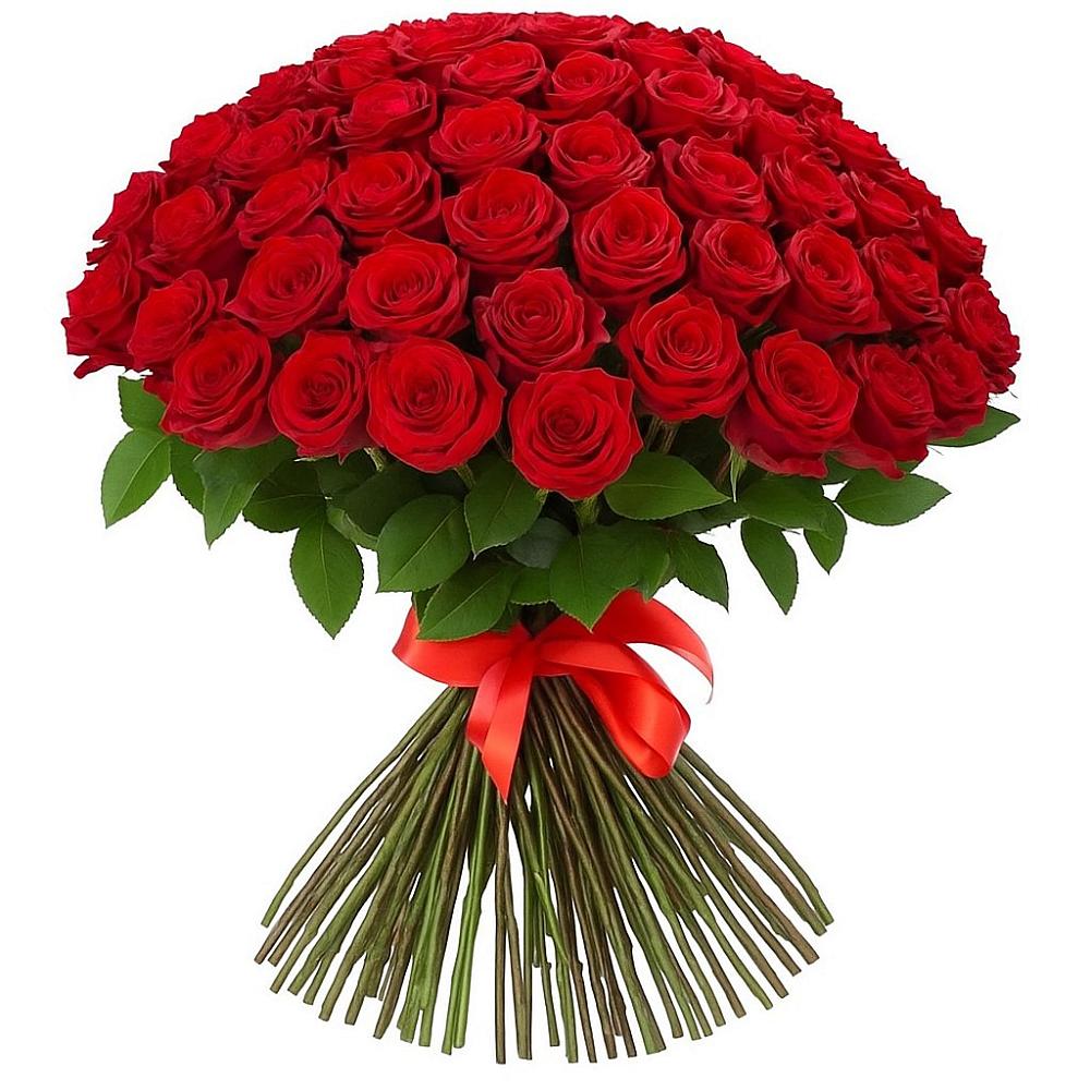 Букет Красные розы Блэк Меджик в Белой Холунице