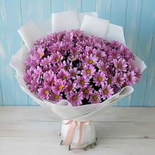 Букет цветов из:  Хризантемы в Белой Холунице