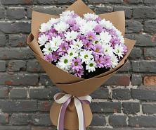 Букет цветов из:  Хризантемы в Белой Холунице