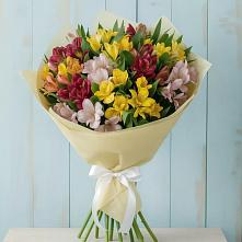Букет цветов из:  Альстромерии в Белой Холунице