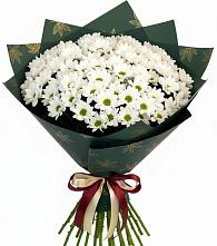 Букет цветов из:  Хризантемы в Белой Холунице