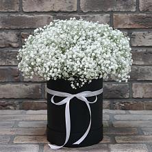 Цветочная композиция из Гипсофила в шляпной коробке в Белой Холунице