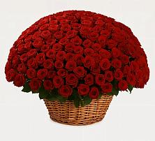 Премиум букет из: Розы в Белой Холунице