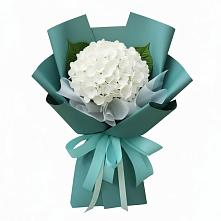 Букет цветов из:  Гортензия в Белой Холунице